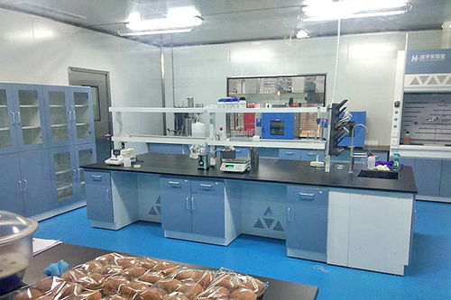 食品行業(yè)凈化車間方案設(shè)計(jì)與企業(yè)策劃全解析